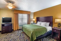 Quality Suites Addison-Dallas - Desayuno