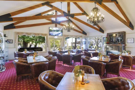 Black Gold Motel Отели в г. Литго