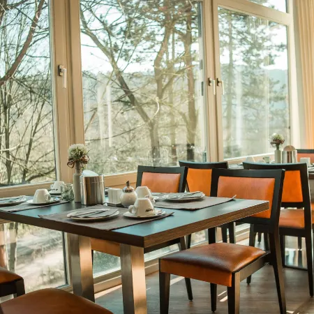 Hotel Engel im Salinental