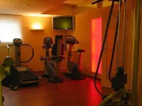 Hotel Adler - Gym