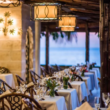 Coral Reef Club
