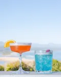 The Ivory Haus - bar