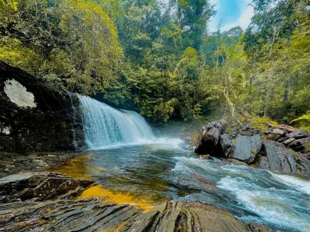 Giant's Forest Отели рядом с достопримечательностью «Sivali Central College Playground»