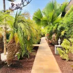 Holiday Club Playa Amadores - Parkering