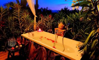 Casa Pino with Private Pool and Garden