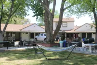 Trees Motel فنادق في بيشوب