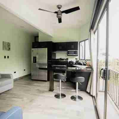 Palo Rosa 1 Rooms