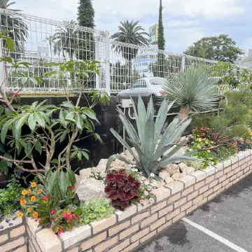 miyazaki mango hotel