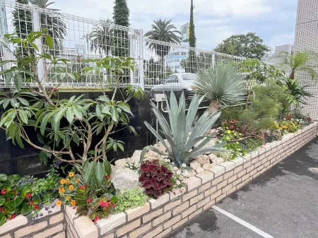 miyazaki mango hotel