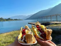 Hotel Minnesota Hotel a 