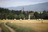 Villa Agata - Homestays