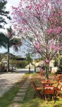 Nômades Vibe da Ilha - Adventure Hostels & Coworking Hotels in 