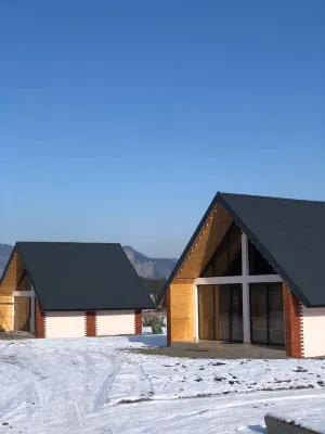 Borjomi Inn Hotels in 