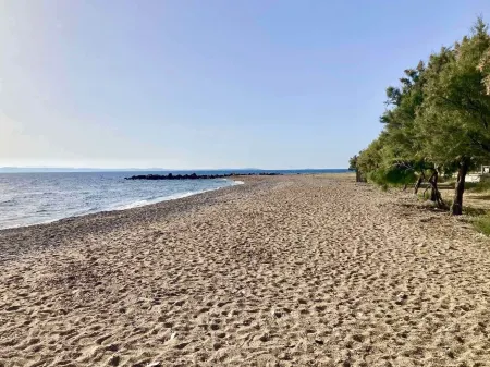 Charming Chios Island Getaway in a Cozy Studio