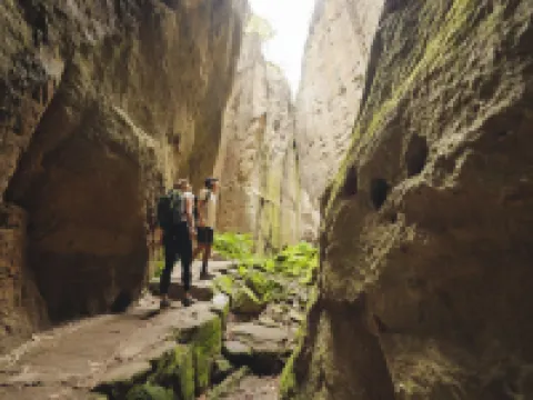 กู๊ดเดย์ พาร์คส์ เอเมอรัลด์ โรงแรมในเอเมอรัลด์