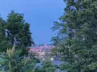 Downtown Views- 4 Minutes to Downtown