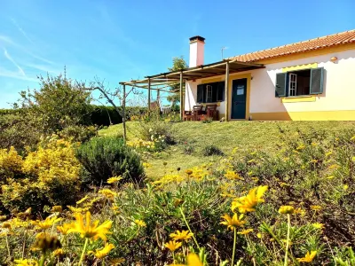 Where the nature and the welfare are find in full harmony Hotels in 