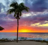 Oceanfront Luxury in Cozumel, Costa del Sol A3 Single-Level Walk-Out Beach Villa