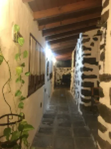 THE PINES THE LADERA Hotels in Icod de los Vinos