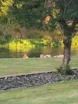 Springcreek studio apartment Hotels in 