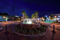 Roost on Greene! Two Bedroom Five Points Condo. Steps away from USC Campus.