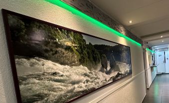 Hotel Rheinfall
