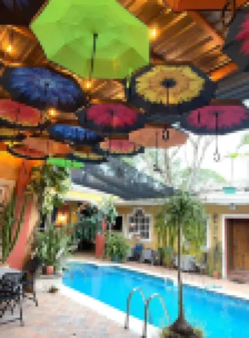 山區庇護所民宿