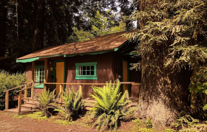 Emerald Forest Cabins