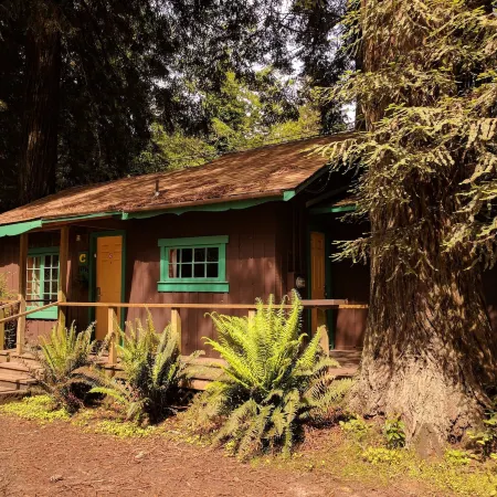 Emerald Forest Cabins