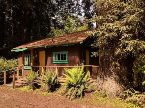 Emerald Forest Cabins - parking