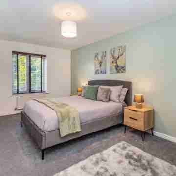 Mayfair Rooms