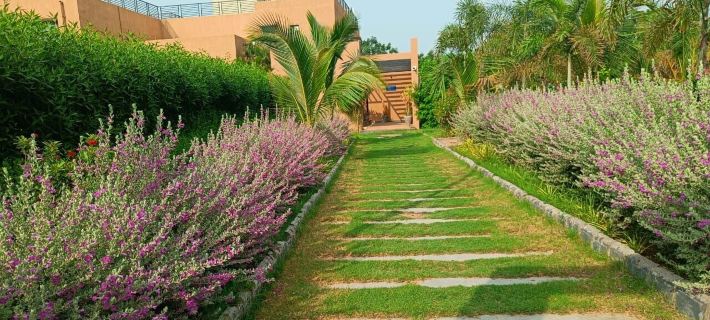 Club Mango Resort by Adroit Connect Hospitality Hotels in Ahmedabad