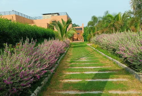 Club Azzurro Resort - Nalsarovar