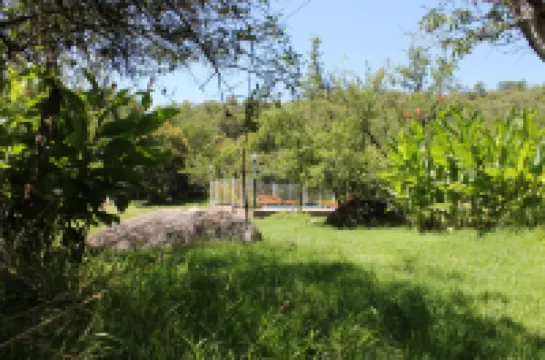 Cabañas El Algodonal Hotels in 