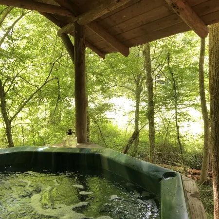 Smokey Mtn. Romantic Handcrafted Cabins