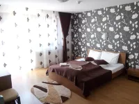 Pensiunea Casiana Hotels in 