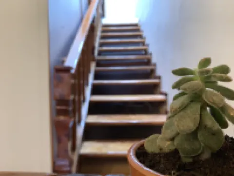 Casa PiYo