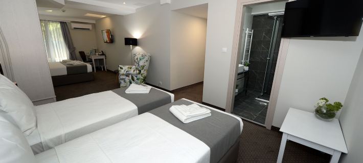Hotel Alexandar II Hotels in Skopje