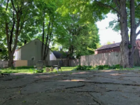 Pet Friendly 1 BR Apartment in Uptown Kingston + Huge Backyard & Full Kitchen