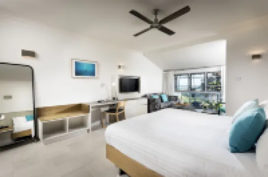 マングローブ ホテル