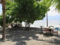 The Wild Orchid Resort - Moalboal - Beach