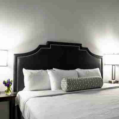 Contemporary 2Br 2BA Apartment by CozySuites Rooms