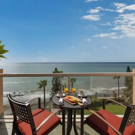 Elba Estepona Gran Hotel & Thalasso Spa