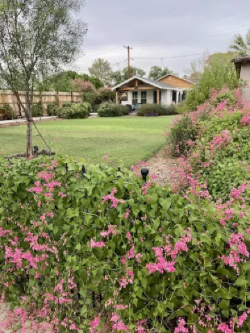 Three minute walk to Downtown Gilbert from the Not So Tiny Cottage!