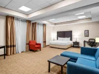 Comfort Inn & Suites Allen Park - Dearborn Hotels in Allen Park