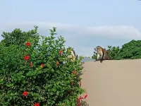 Madora Lodge - 3-Star