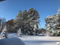 Park in the Woods Cozy and clean. Shared Hot Tub