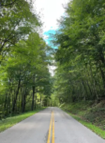 Newer 2-Bdrm Mobile Home, Close to Wildcat Atv Park, Riders Welcome! Hotels in Rockcastle County