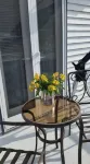 The Seapointe House. Discover Cape May.