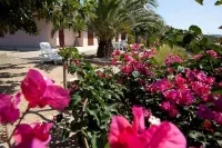 Grande Villa Tizzano 200 M DE LA Plage 18 Pers فنادق في Sartene